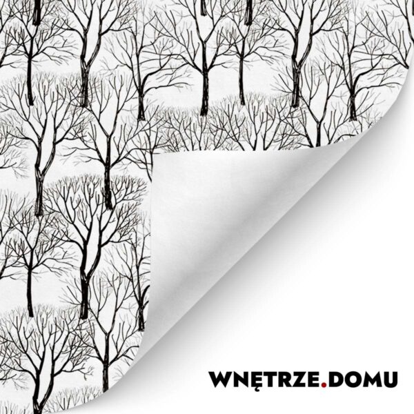 Zimowe Drzewa