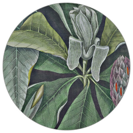 nowoczesna tapeta rycina naklejka na ścianę dżungla