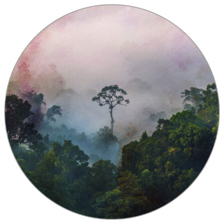 fototapeta nowoczesna las naklejka na ścianę do pokoju do salonu do łazienki