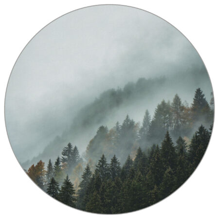 nowoczesna fototapeta las we mgle do salonu do sypialni do pokoju