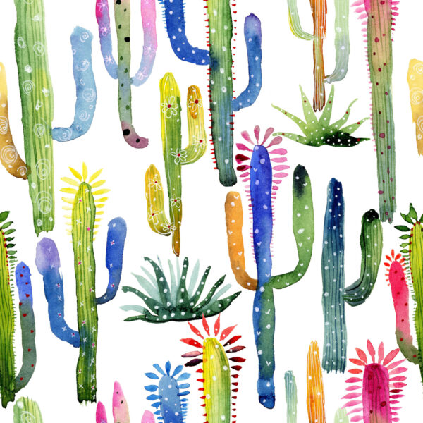 kolorowe kaktusy tapeta do pokoju do kuchni akwarela